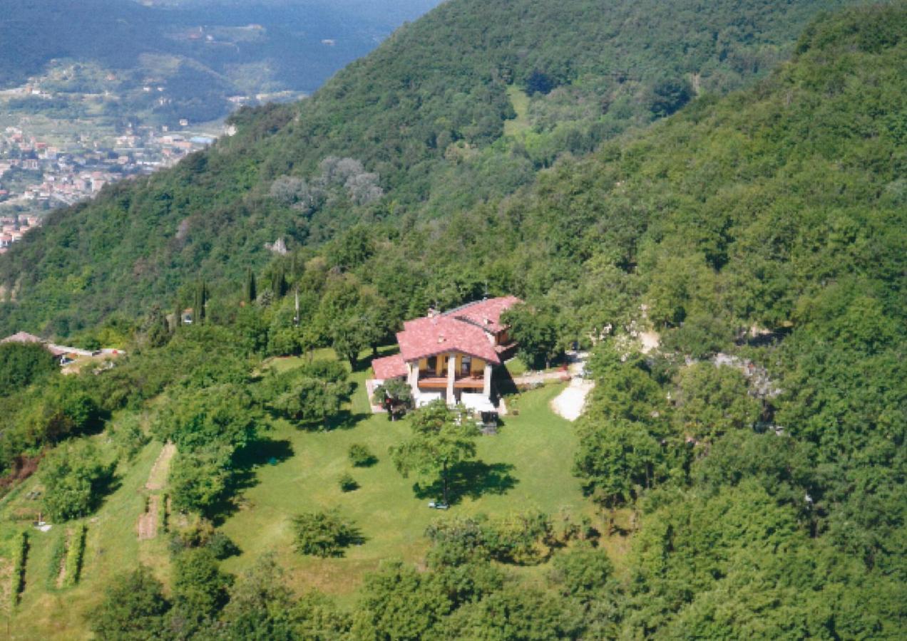 La Fiocchina - Magic Place - Apartments & Studios In Garda Lake - Countryside Farmhouse, Inside The Middle Of The Lake 살로 외부 사진