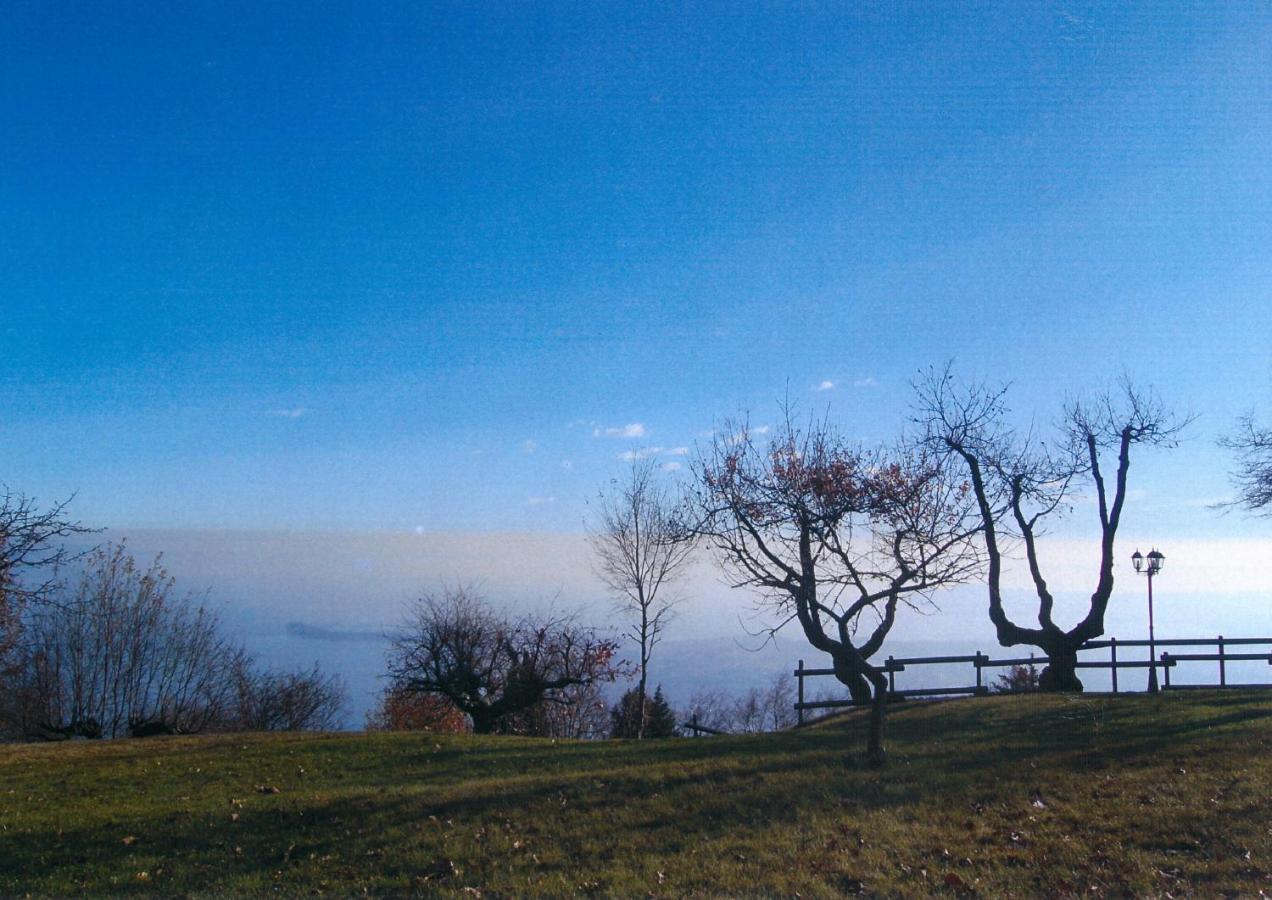 La Fiocchina - Magic Place - Apartments & Studios In Garda Lake - Countryside Farmhouse, Inside The Middle Of The Lake 살로 외부 사진
